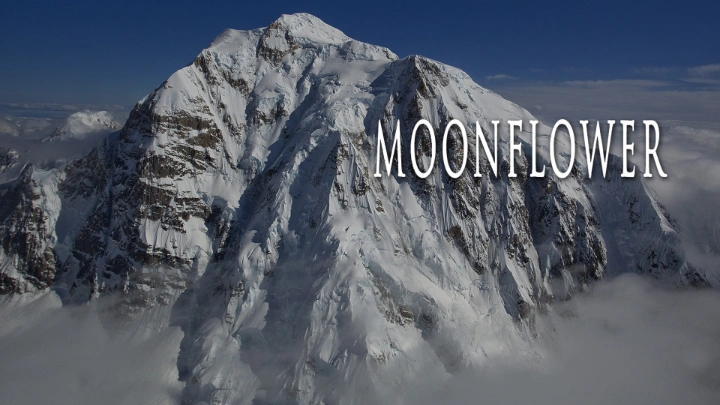 Moonflower