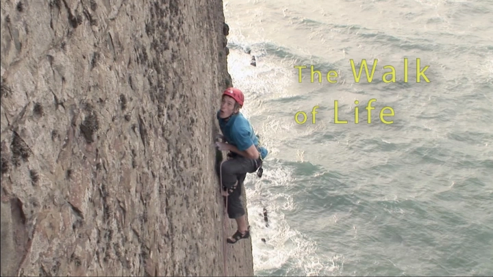 The Walk of Life - Committed II