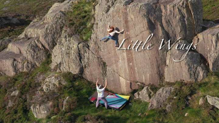 Little Wings